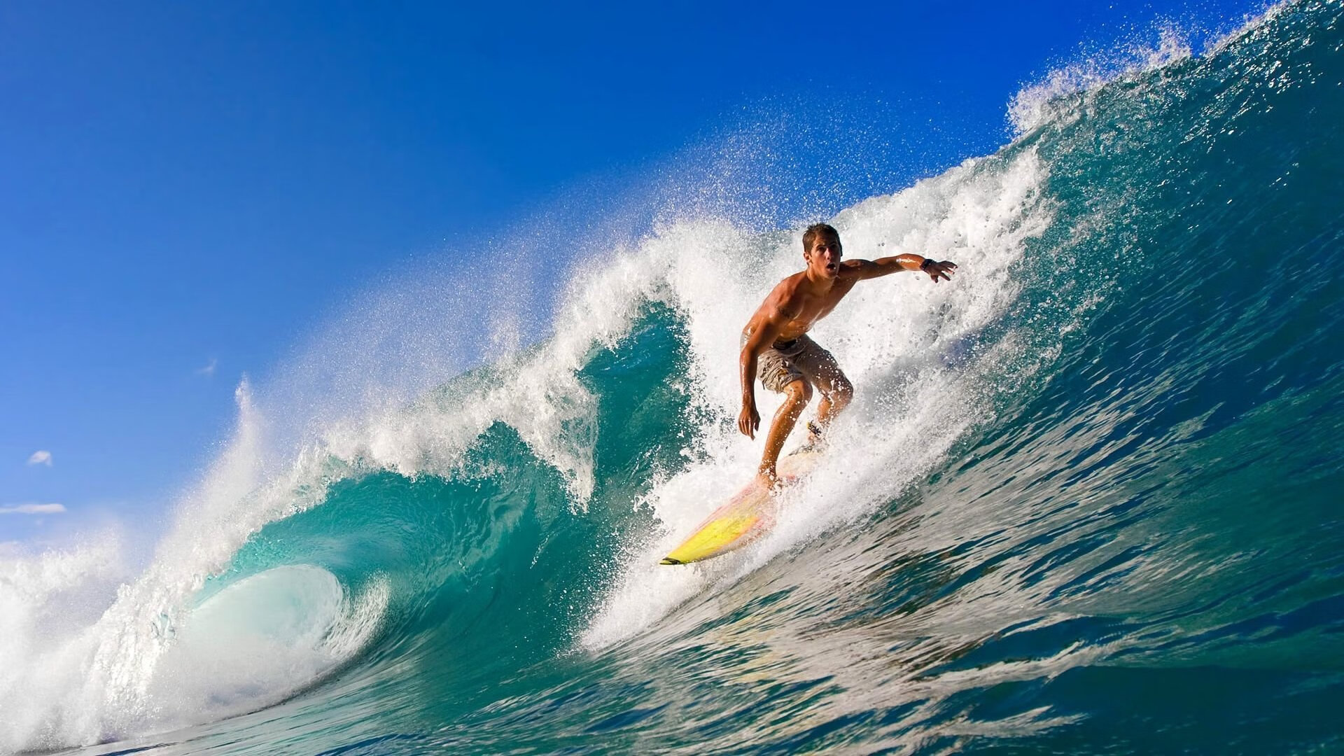 冬季运动器材展引发采购热潮，运动器材展会有哪些