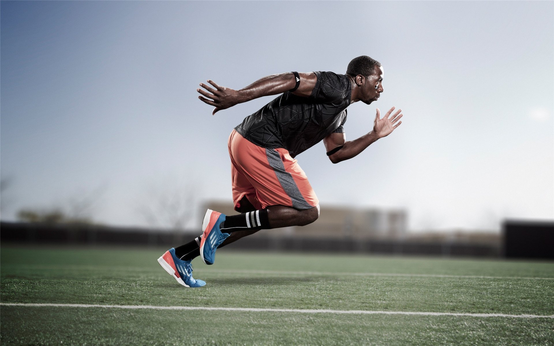 AYX SPORTS-蛙泳项目朝鲜保持强势，蛙泳最新技术视频